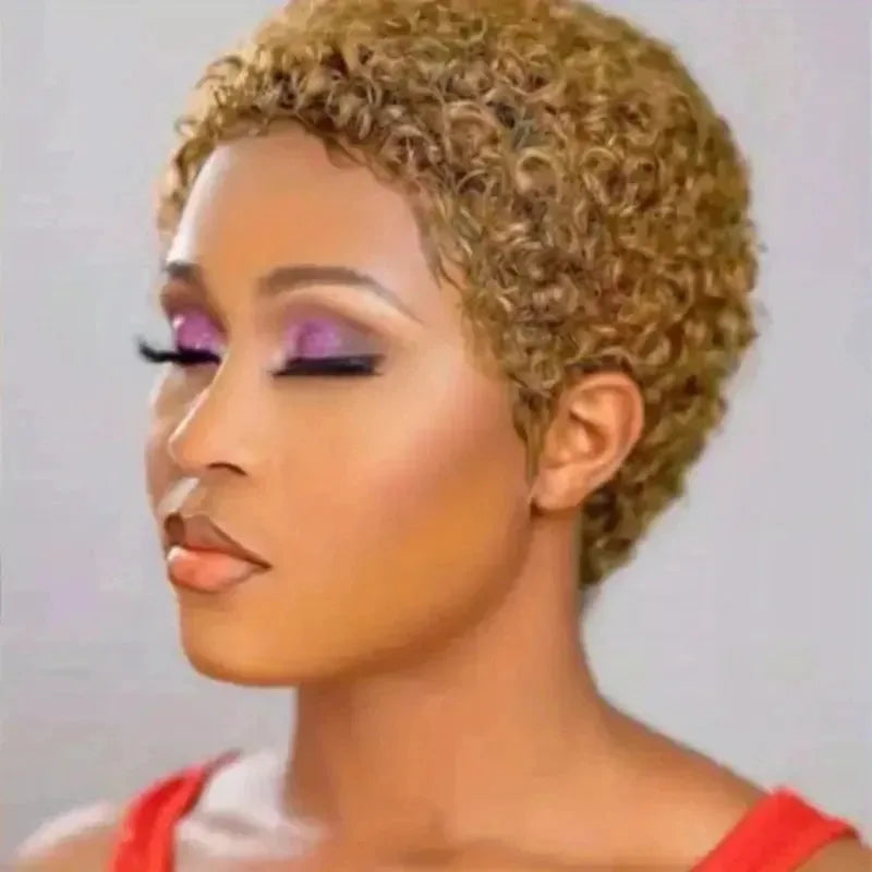 Short Afro Kinky Curly Wigs 100% Human Hair Wig For Women Pixie Cut Wig Deep Wave Water Wave Short Wig Full Machine Made Wig