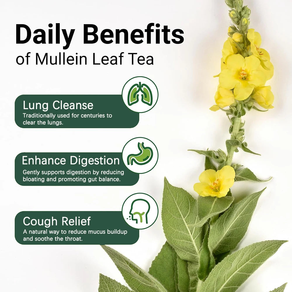 Mullein Leaf Tea Bags - Lungs Cleanse and Respiratory Support,100% Pure Natural Premium Mullein Leaf Herbal Teas, Caffeine Free