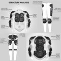 Motorcycle Armor CE Certification Motocross Chest Back Protector Moto Protection Body Armor Riding Motocross Jacket Protective