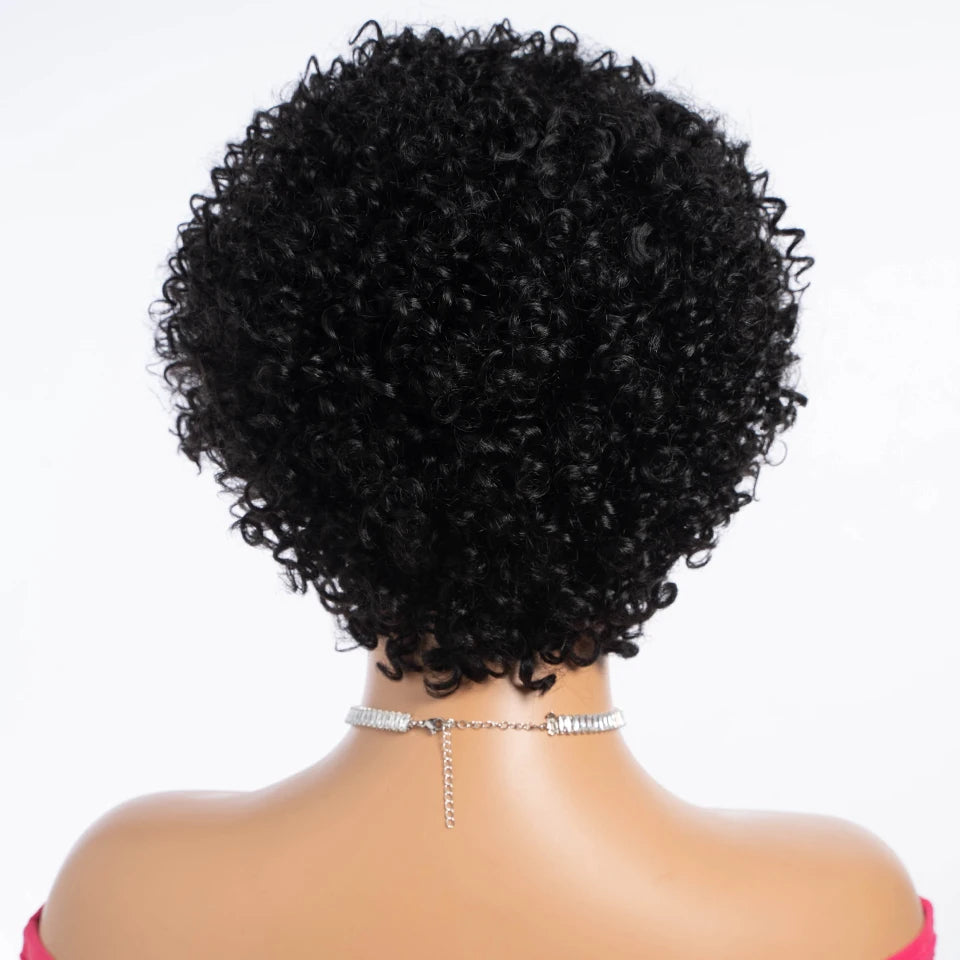 Lekker Short Pixie Cut Afro Kinky Curly Bob 100% Human Hair Wigs For Women Brazilian Remy Hair Full Machine Made Clearance Wigs
