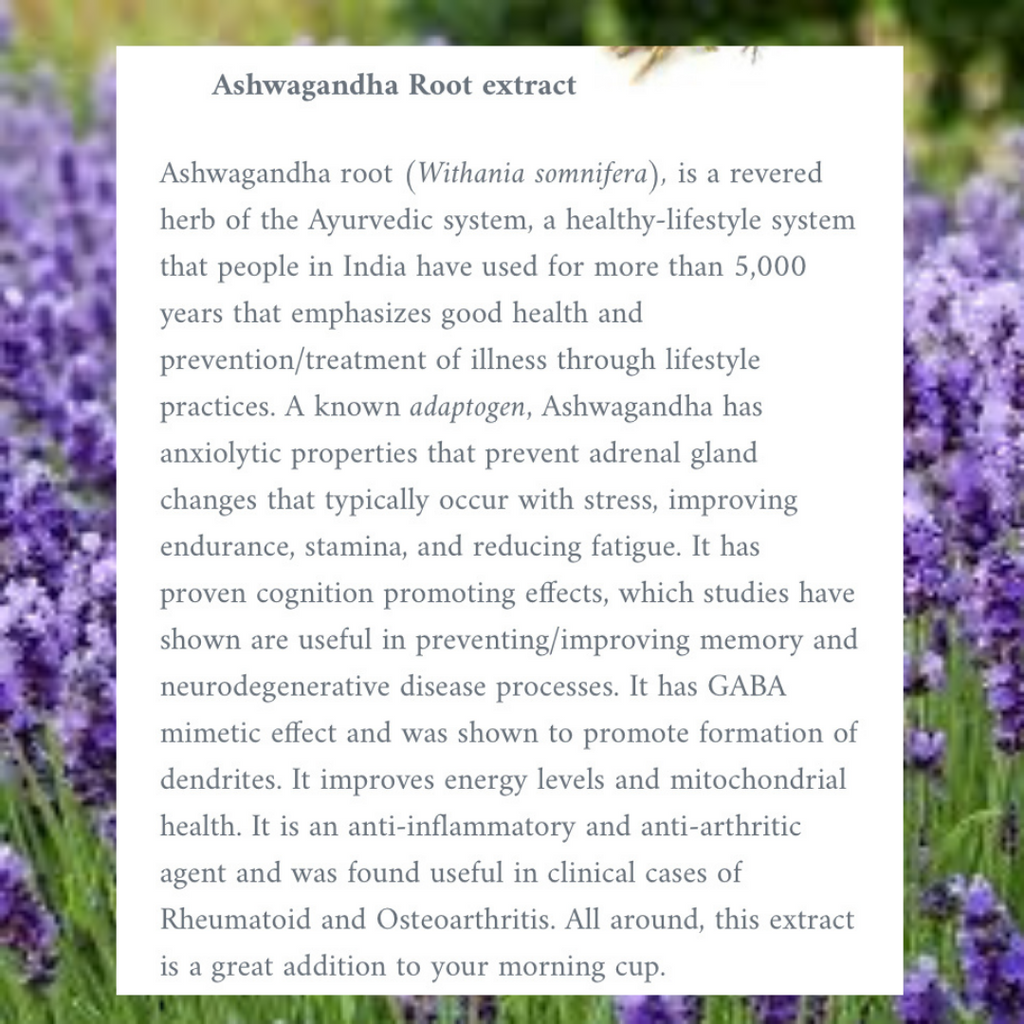 BALANCE BLEND | Vietnamese Lavender Coffee