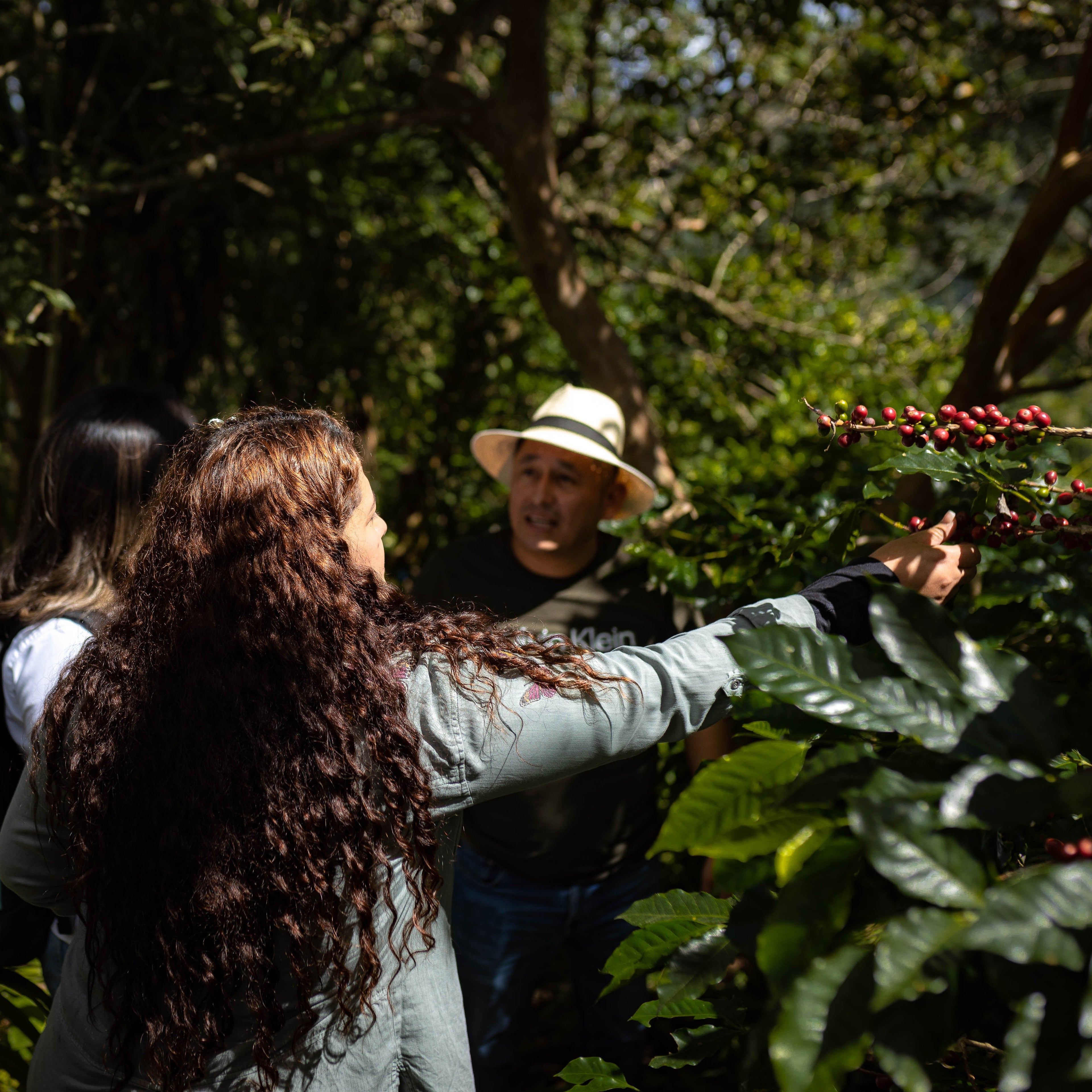 Honduran Espresso Blend Coffee
