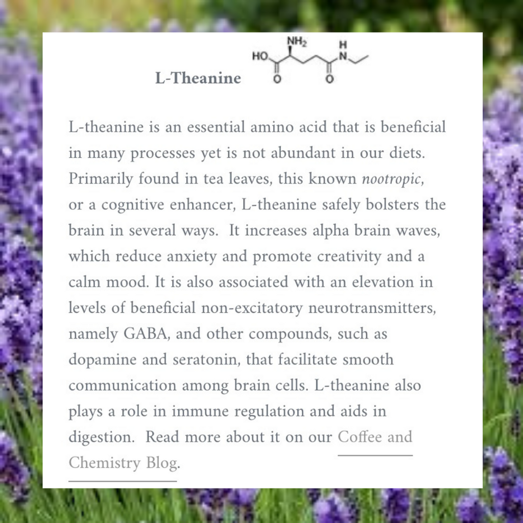 BALANCE BLEND | Vietnamese Lavender Coffee