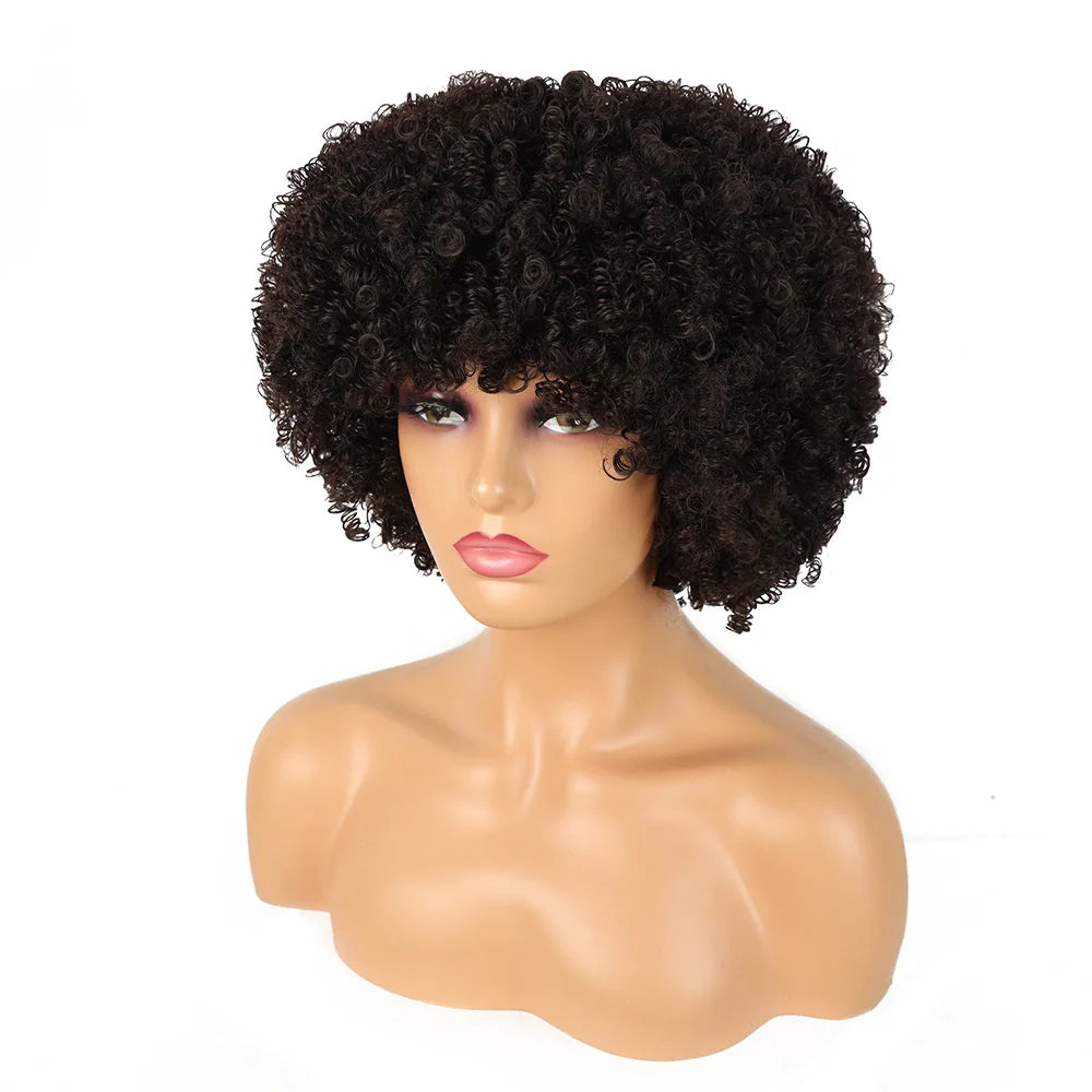 Synthetic Short Wig Afro Loose Curly Wigs For Black Women Short Curly Afro Wigs with Bangs Natural Curly Cosplay Party