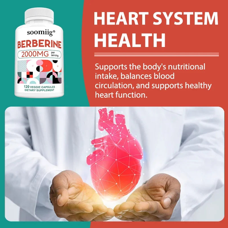 2000 Mg Berberine Supplement Capsules, Supports Metabolism, Regulates Blood Sugar Levels, and Enhances The Immune System