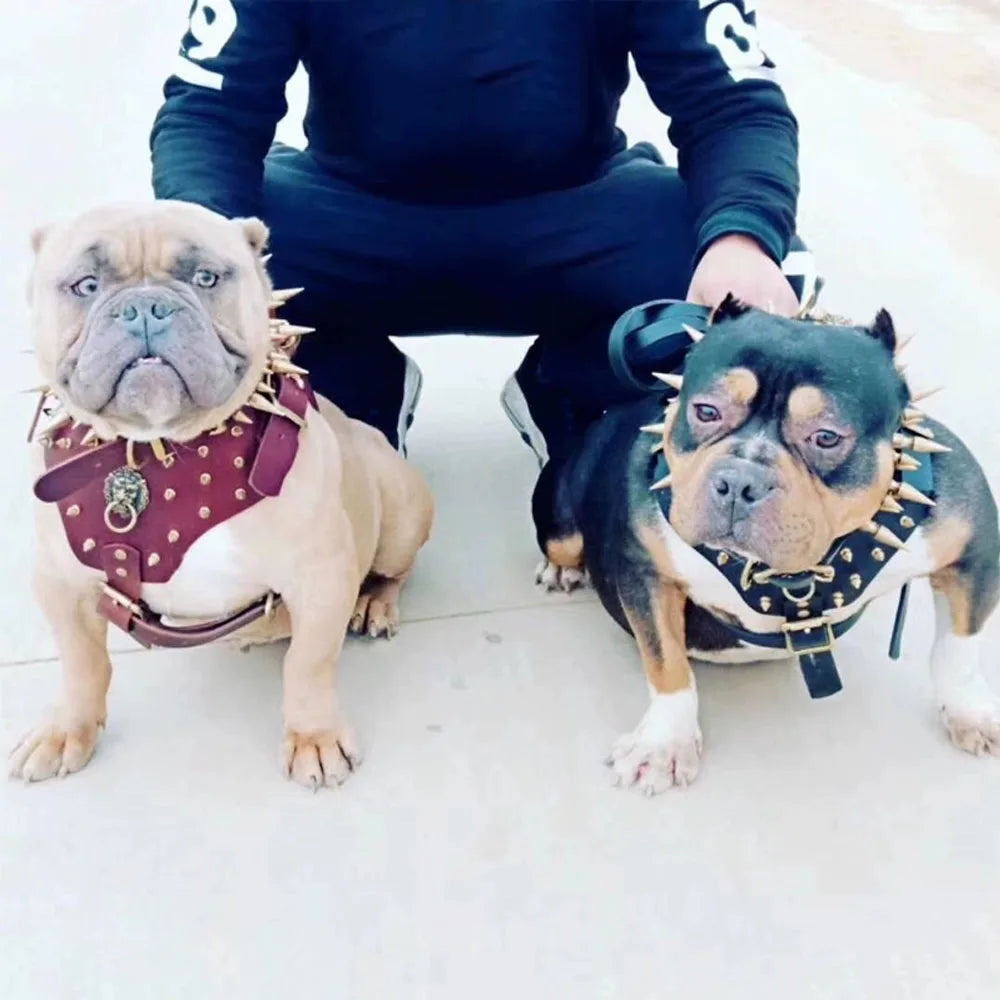 Bulldog Sports Training Harness Collar Cowhide Rivet, Copper Spikes Studded, Harness For Small Medium Dog, Dobermann Back Armor