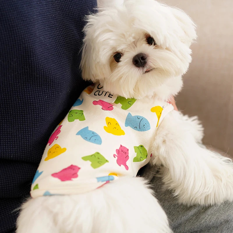 Pets  Kittens Clothes cats Accessories   for  Kitten Small Kitten Stuff Apparels Cooling Clothing Dog´s Sweater Vests