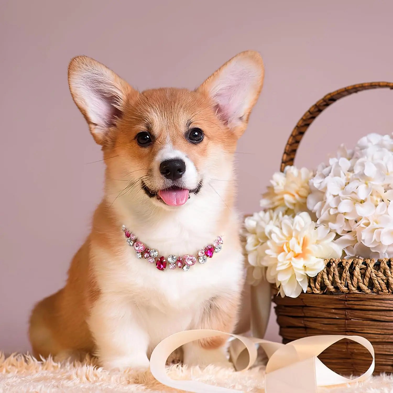 Luxury Gemstone Dog Cat Collar Gold Chain Necklace Fashion Pet Jewelry Accessories Puppy Diamond Collar for Small Medium Dogs