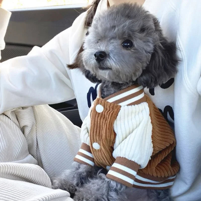 Cute Embroidered Pet Baseball Jackets Dog Clothes For Small Medium Cat Teddy Coat Puppy Spring Clothes Warm Fashion Pet Outfit
