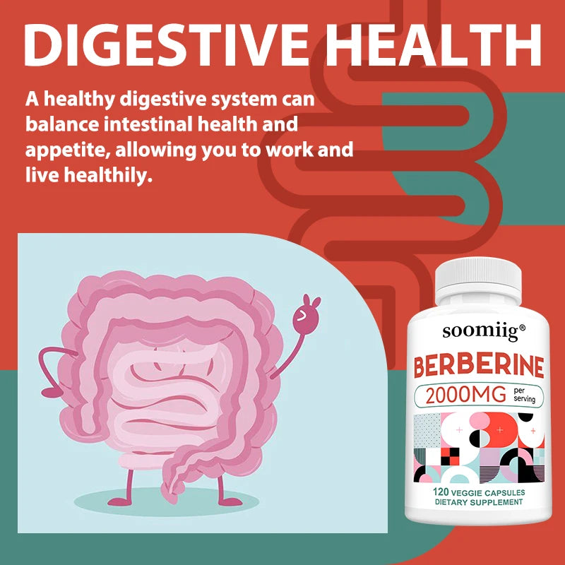 Berberine Extract Supplement - Immune System Support, Healthy Gastrointestinal Tract, Heart Health - 120 Capsules