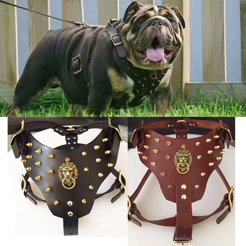 Bulldog Sports Training Harness Collar Cowhide Rivet, Copper Spikes Studded, Harness For Small Medium Dog, Dobermann Back Armor