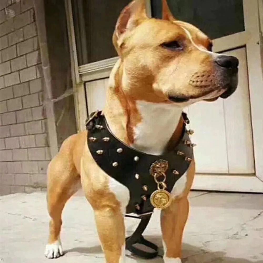 Bulldog Sports Training Harness Collar Cowhide Rivet, Copper Spikes Studded, Harness For Small Medium Dog, Dobermann Back Armor
