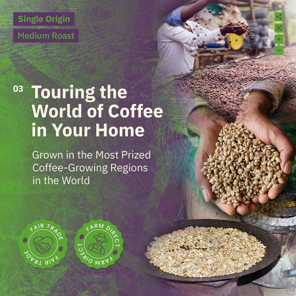 Kochere Coffee Single Origin Coffee Sampler - Roaster's Choice Tasting Kit