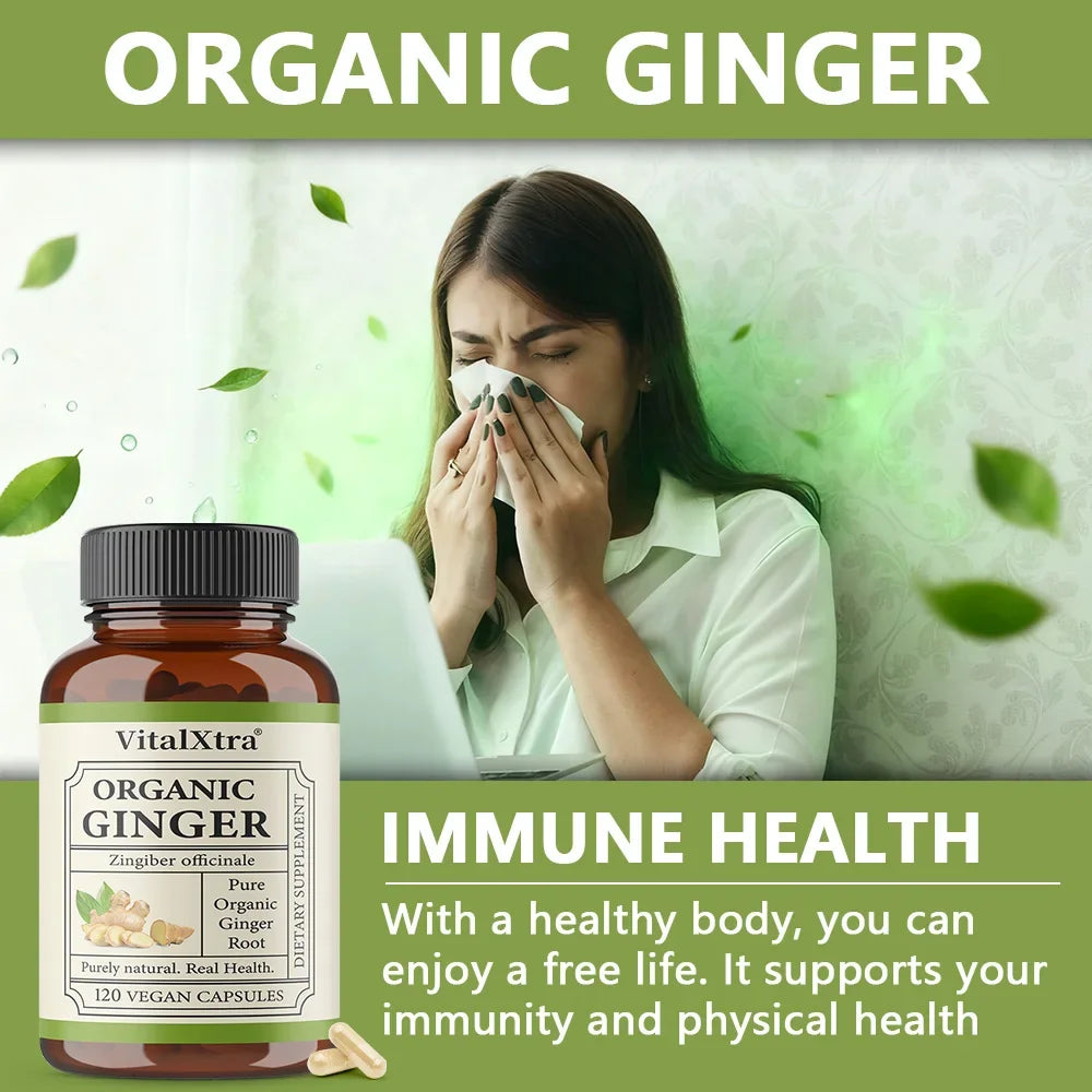 Ginger Supplement, Organic Ginger Root Capsules, 950 Mg, Improves Digestion and Absorption, 120 Vegan Capsules