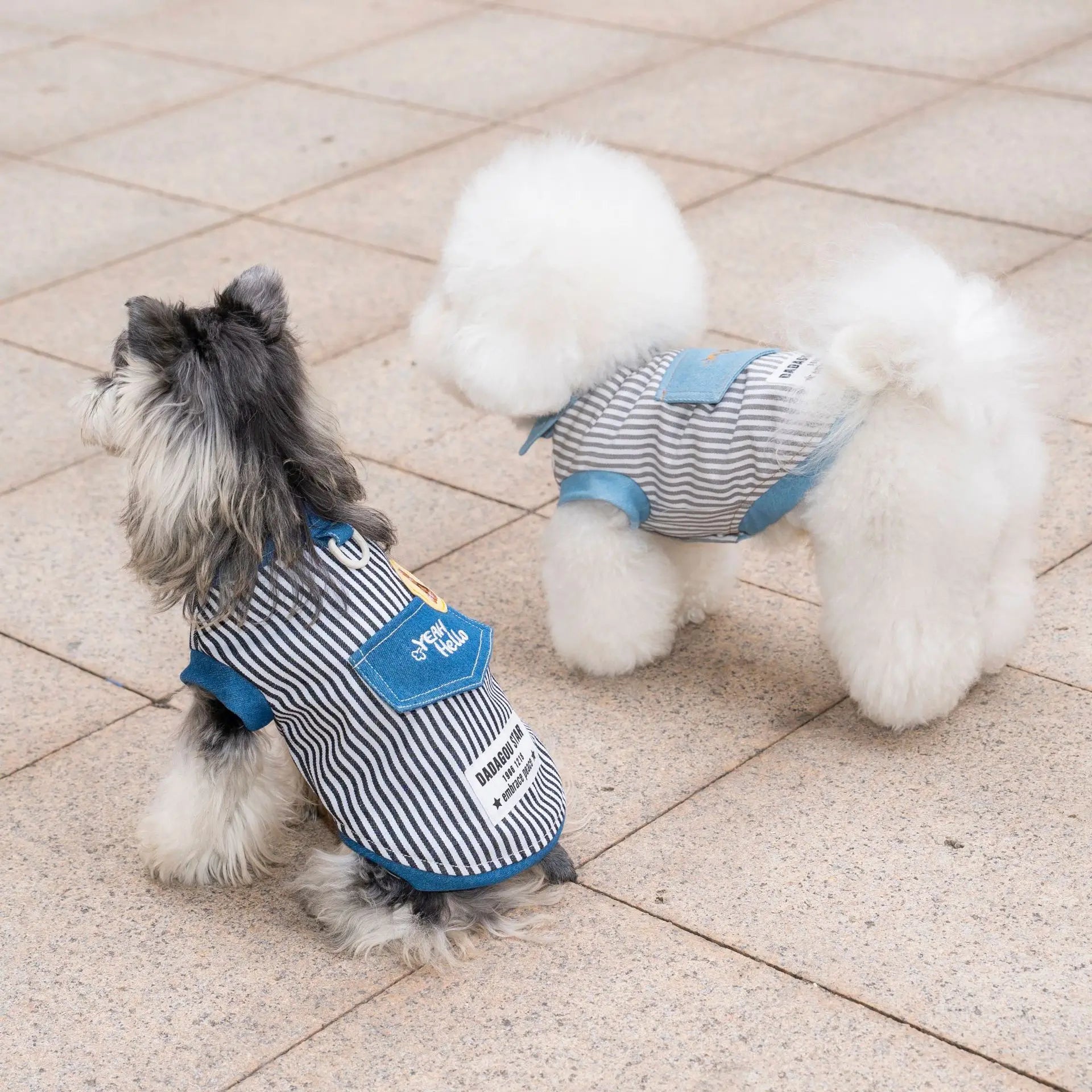 Pet dog cat clothing breathable denim pet clothes for spring summer new striped Jean Teddy Vest Yorkshire Shirt Apparel Supplies