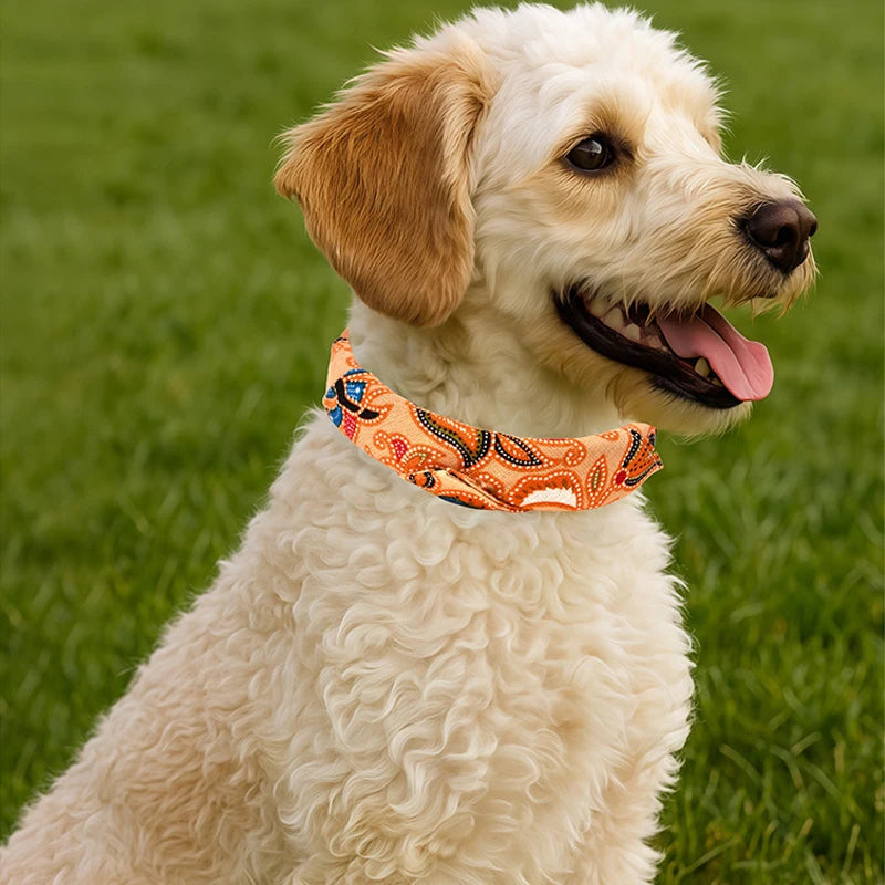 PU leather collar suitable for both cats and dogs, fashionable and versatile dog drool bib collar