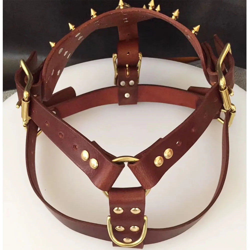 Bulldog Sports Training Harness Collar Cowhide Rivet, Copper Spikes Studded, Harness For Small Medium Dog, Dobermann Back Armor
