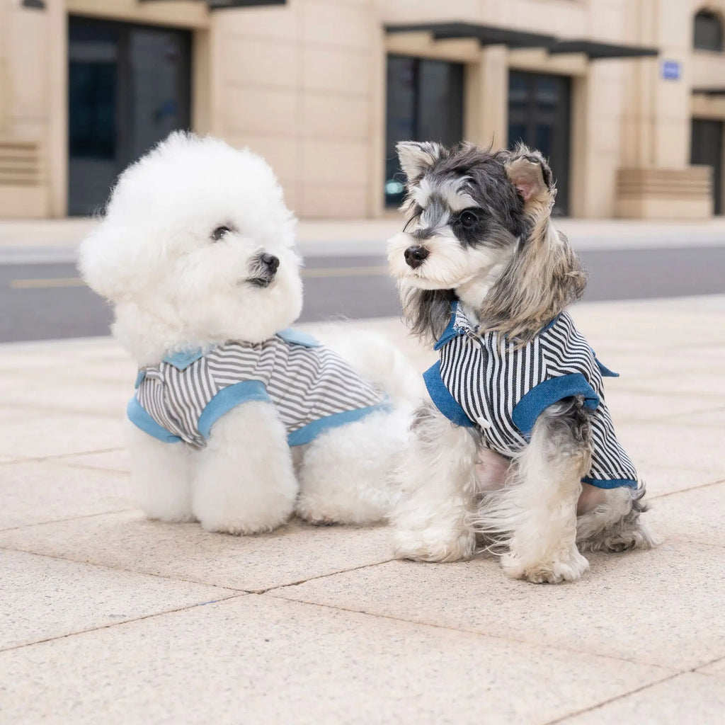 Pet dog cat clothing breathable denim pet clothes for spring summer new striped Jean Teddy Vest Yorkshire Shirt Apparel Supplies