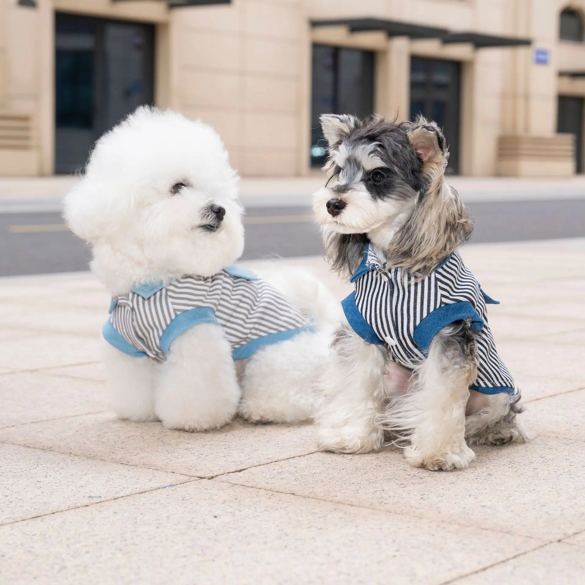 Pet dog cat clothing breathable denim pet clothes for spring summer new striped Jean Teddy Vest Yorkshire Shirt Apparel Supplies