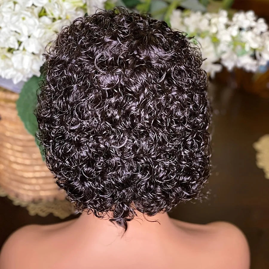 Pixie Cut Wigs Human Hair Short Curly Lace Front Human Hair Wigs Brazilian 13x4 Transparent Lace Wigs Water Wave Bob Wig