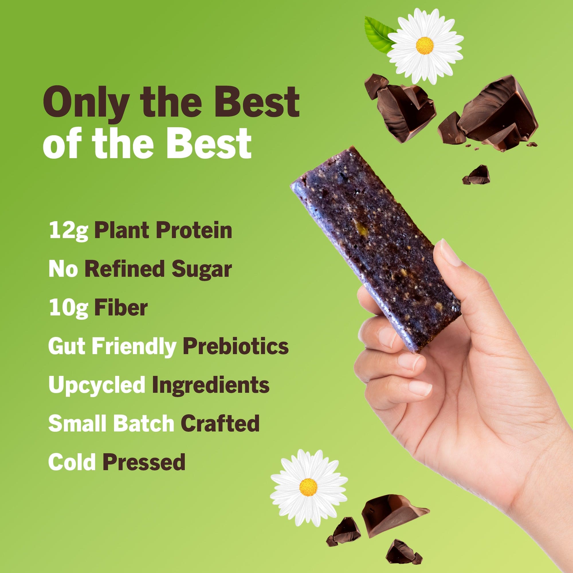 Chocolate Brownie