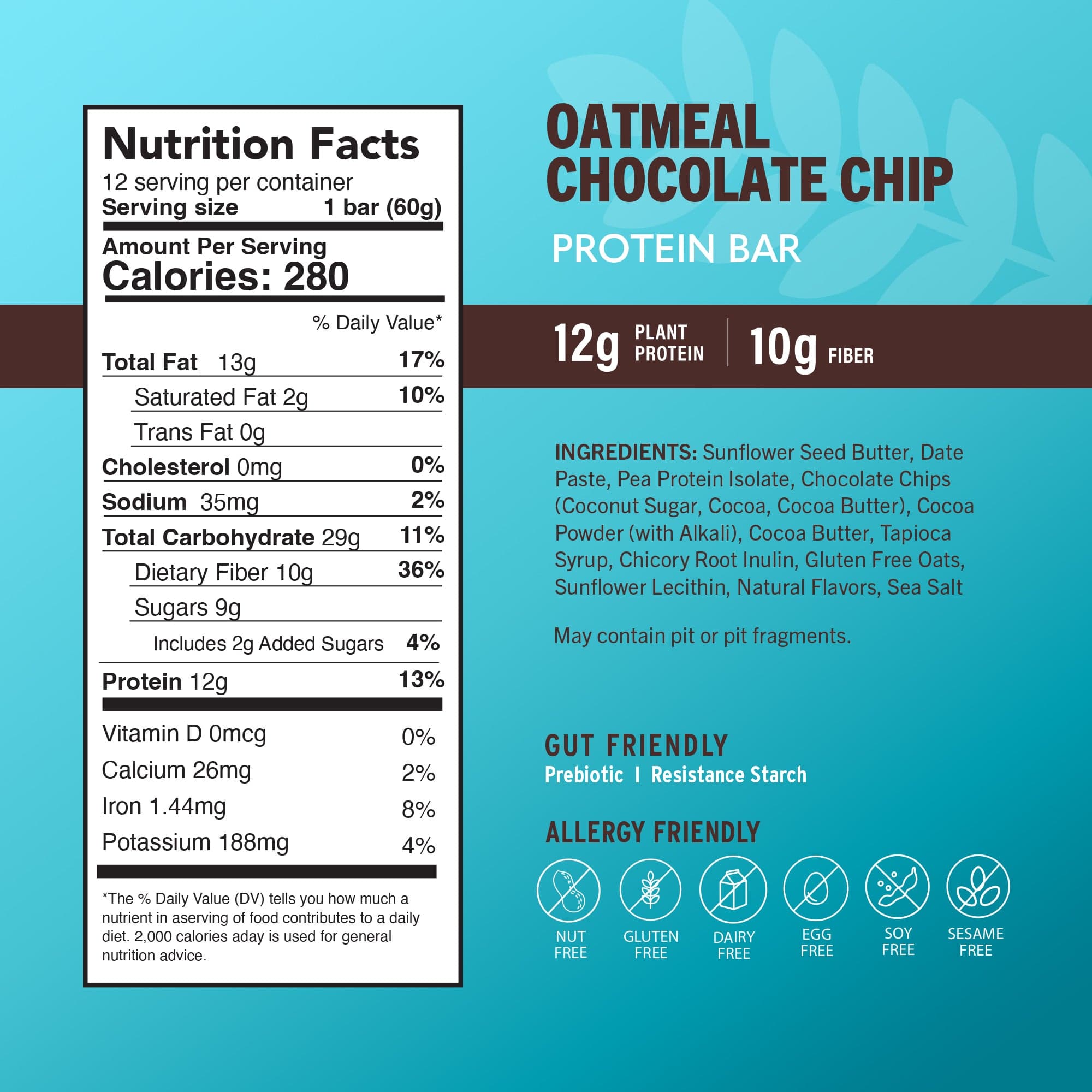 Oatmeal Chocolate Chip
