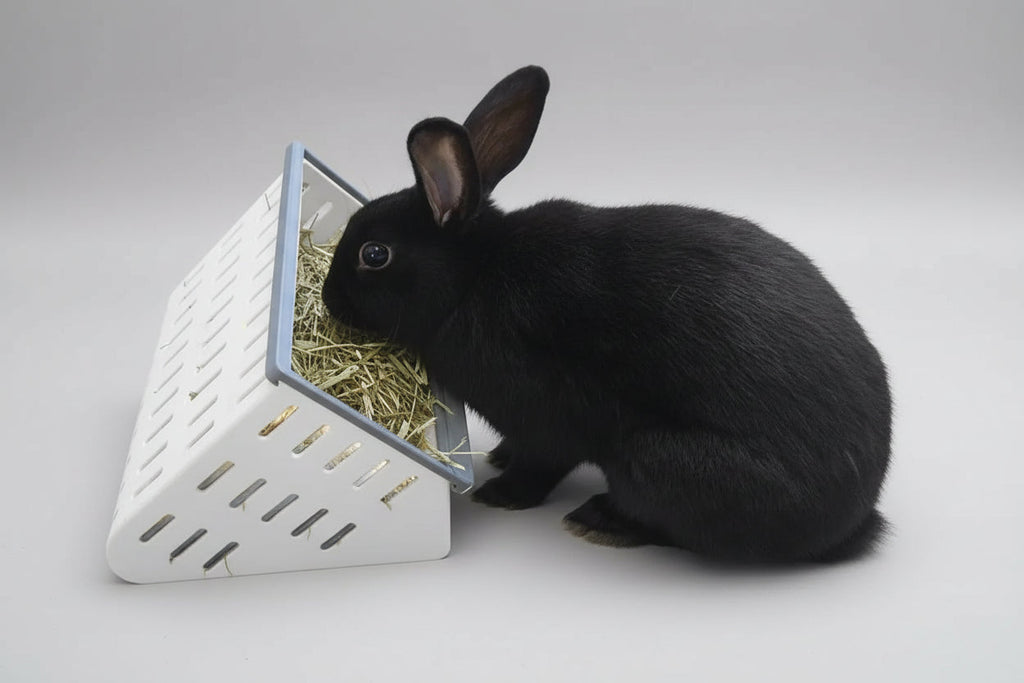 The Open Air Hay Feeder and Hay Roller Bundle | 6 Colors