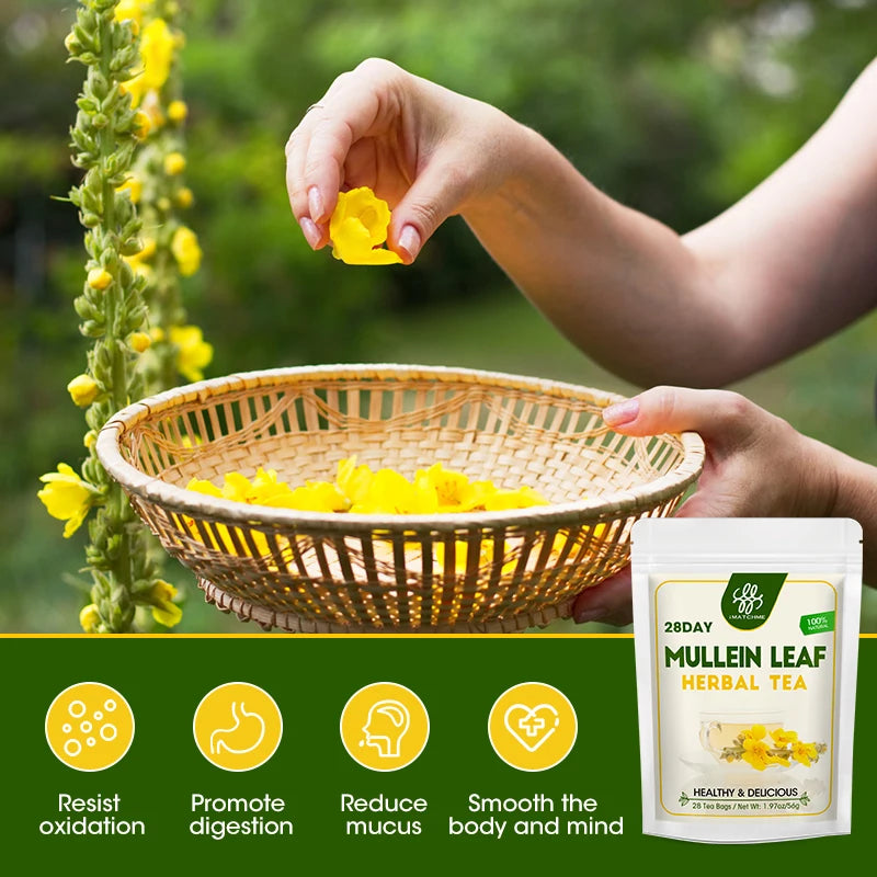 Natural Mullein Leaf Tea- Herbal Respiratory Supplement - for Lung Cleanse, Support Better Respiratory & Immune Function