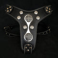 The "Hektor" harness